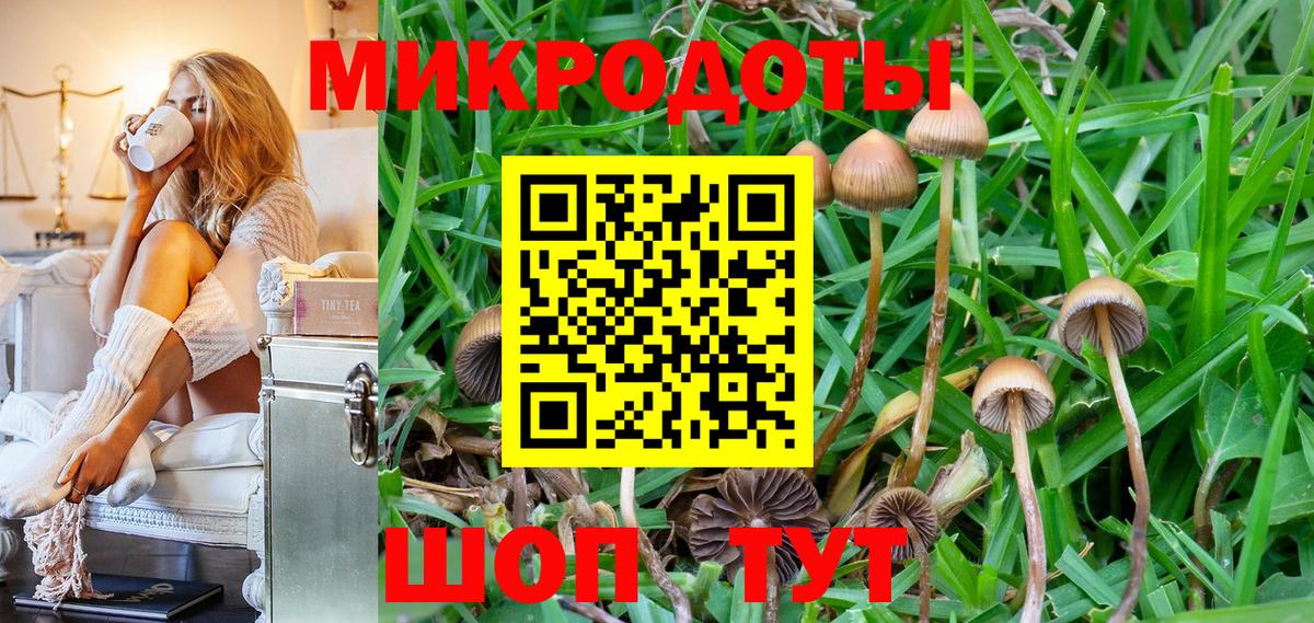 хочу   Псилоцибиновые грибы ЛСД  Вход с VPN  Сарапул 